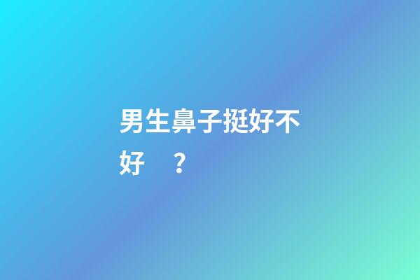男生鼻子挺好不好？